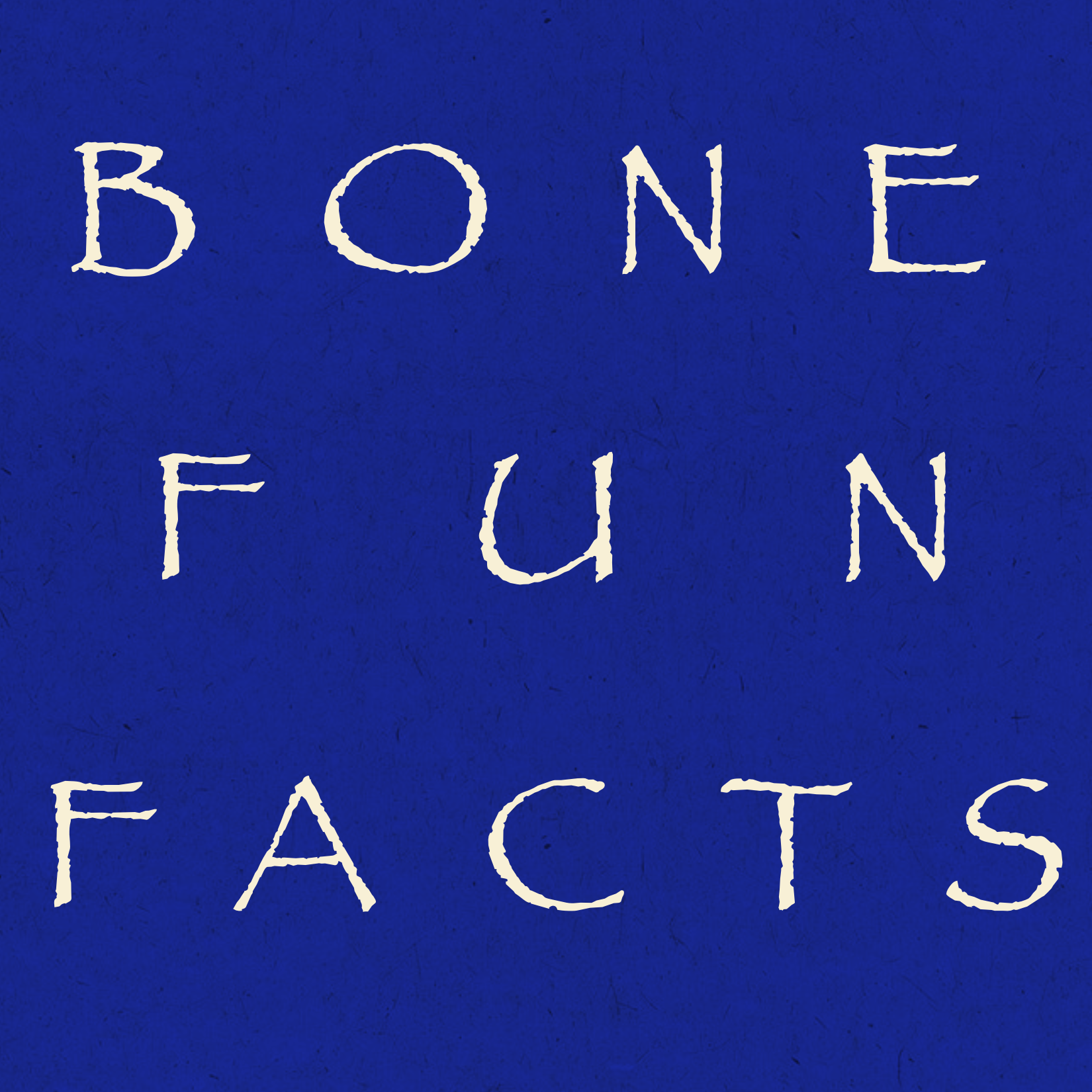 Bone Fun Fact